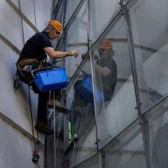Window Cleaner - Carol Abbott