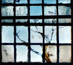Window Scape - Dawn Zandstra