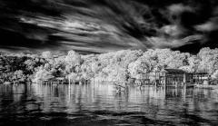 Woodley's Boatshed - Berrys Bay - Steve Mullarkey