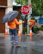 Working in the Rain - Margaret Frankish