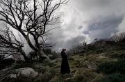 Wuthering  Heights - ... ...