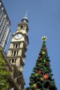 Xmas tree in martin Place J Roussel - ... ...