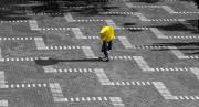 Yellow umbrella - Guy Machan