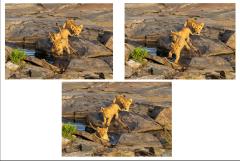 Yes Maybe No - Kerry Boytell