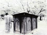 Newtown Cemetery 5 - Dawn Zandstra