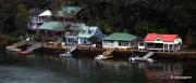  DSC5035 - ... ...