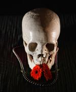  E7A7872 copy - Eric Lippey