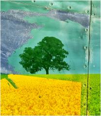  Outstanding in the Field  - Peter Steele
