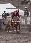  WLD7166 C1 1 - Christo van Rensburg