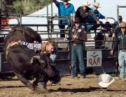  WLD7341 C1 1 - Christo van Rensburg