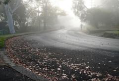 autumn mist - Beryl Jenkins