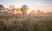 countryside.jpg - Janice Gursanscky