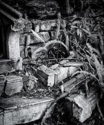 fallen arches - Hans Olthof