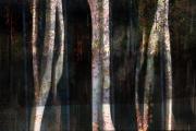 favourite - Olga Baldock