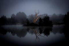fog_pond - Rod Carter