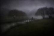 foggy-morning-fagan-park - ... ...