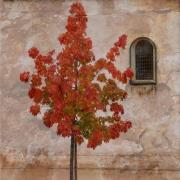 france-autumn-rust-copy - ... ...