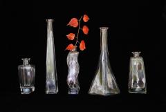 glass and autumn leaves - Beryl Jenkins