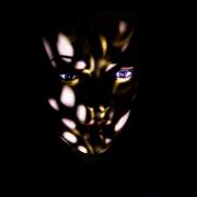 grater01 - Rod Carter