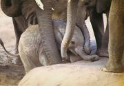 lm caring for our baby peter lucasa - ... ...