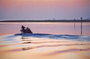 lm dawn fishers carolyn pettigrewa - ... ...