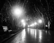lm hydepark linda mckiea - ... ...