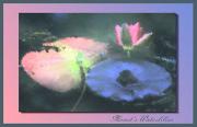 lm monet s waterlilies dawn zandstraa - ... ...