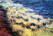 lm river grass beryl jenkinsa - ... ...