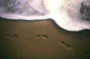 lm sand and feet guy lockwooda - ... ...