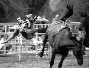 lm thrown jacques roussela - ... ...