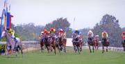 lm wyong races norman wonga - ... ...