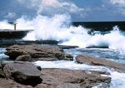 lman and naturea - ... ...