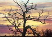 lsm colour and contrast mark howarda - ... ...