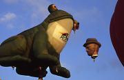 lsm frog baloon malcolm mckaya - ... ...