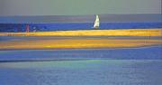 lsm sail on by dawn zandstraa - ... ...