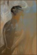 m-the bride dawn zandstra - ... ...