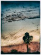 m Colour-of-the-Outback Dawn Zandstra - ... ...