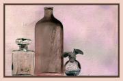 m all shapes and sizes dawn - ... ...