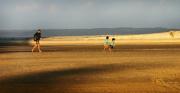 m catch us - ... ...