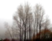 m mist buller gorge dawn z-gigapixel-hq-scale-2 00x - ... ...