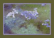 m spring awakens dawn zands - ... ...