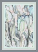 m tulip fantasy dawn zandstra - ... ...