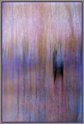 m walking home dawn zandstra - ... ...