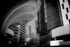 not warm - Hans Olthof