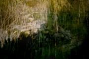  water - Olga Baldock