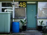 ordered decay - Hans Olthof