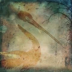 pelican - Ann Wharton