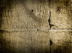 petrified gaze - Christoph Mueller