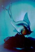 pm blue fish harry millsa - ... ...