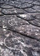 pm tesselated rock pattern beryl jenkinsa - ... ...